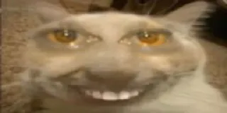 😬 766eab55 kat, griezelig, dier, glimlach, tanden, grappig whatsapp sticker