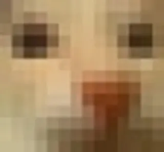 Otag :: @fStikBot whatsapp stickers