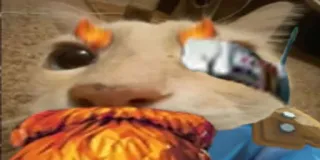 🪨 c6b06268 whatsapp sticker