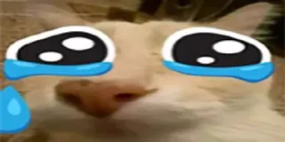 😭 d862ea2e kat, verdrietig, huilen, tranen, meme, emoji whatsapp sticker