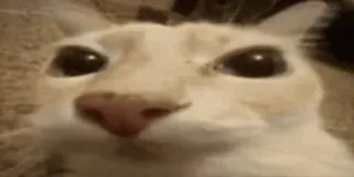 Otag :: @fStikBot whatsapp stickers