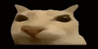 Otag :: @fStikBot whatsapp stickers