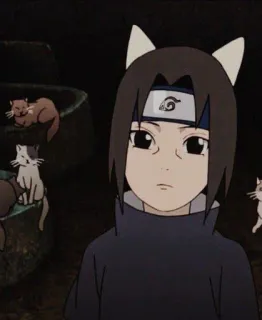 🧐 7bd95670 Itachi Naruto イタチ, アニメ, 猫, ファンアート, うちは, 可愛い, 忍者 whatsapp sticker