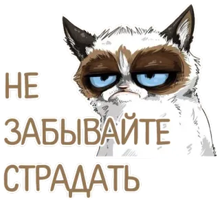 Отбитые telegram stickers