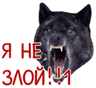 😡 be32e6d0 Я НЕ ЗЛОЙ!!!1 lupo, arrabbiato, denti, animale, aggressivo telegram sticker