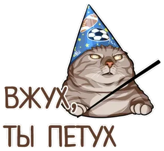 💖 c7afb110 Вжух, ты петух gatto, mago, magia, offensivo telegram sticker