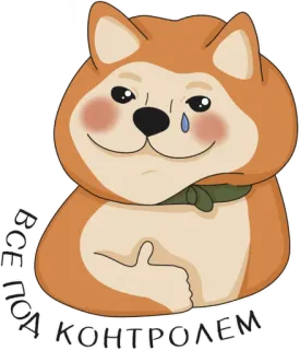 👍 a2c1105b ВСЕ ПОД КОНТРОЛЕМ 狗, 表情包, 哭, 一切尽在掌握, 俄语 telegram sticker
