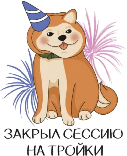 🎆 f74dd75f ЗАКРЫЛ СЕССИЮ НА ТРОЙКИ 狗, 烟花, 派对, 庆祝, 学生, 考试, Doge telegram sticker