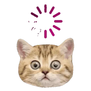 🤔 e6bc8549 chat, chargement, attente, mignon, animal, drôle, internet whatsapp sticker