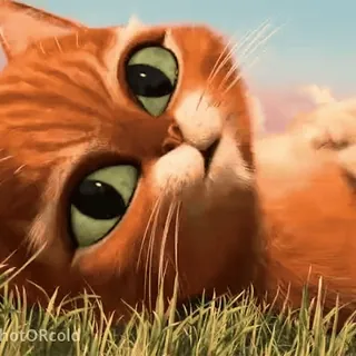 😏 0bda6878 photoRCold kucing, imut, lucu, meme, binatang, kartun, animasi telegram sticker