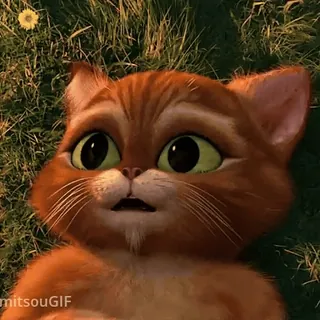 Больше стиков тут: @stikery4 telegram stickers