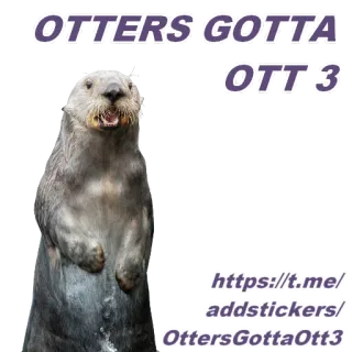 ➡ 20077768 OTTERS GOTTA OTT 3 水獭, 动物, 哺乳动物, 可爱, 海獭 whatsapp sticker