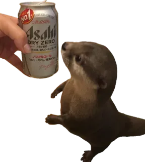 🍺 b51b1c6b No.1 Asahi DRY ZERO 水獭, 朝日, 啤酒, 动物, 饮料, 日式, 酒精 whatsapp sticker