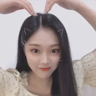 🐱 78aed150 femme, fille, portrait, mignon, oreilles de chat, beauté, selfie telegram sticker