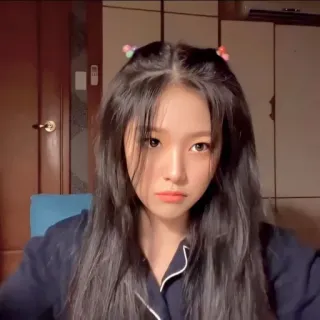 🐱 8656f433 telegram sticker