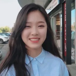 🐱 a6f14fb2 telegram sticker