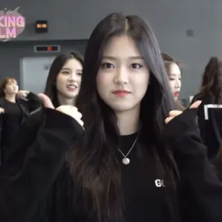 🐱 d569bce4 telegram sticker