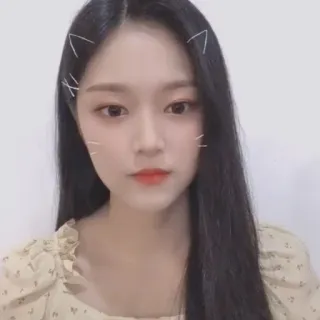 🐱 ed754528 femme, asiatique, mignon, oreilles, filtre, jolie, portrait telegram sticker