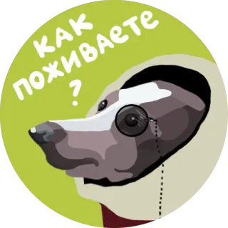 🤔 7c14494a КАК ПОЖИВАЕТЕ? badger, monocle, russian, how are you, question, greeting, animal telegram sticker
