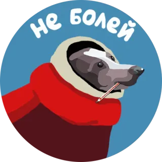 🙏 bb6a95d6 НЕ БОЛЕЙ sick, badger, scarf, thermometer, get well soon, animal, cute, ill telegram sticker