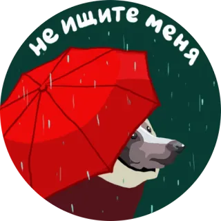😞 d5ac607c не ищите меня dog, umbrella, rain, cartoon, animal telegram sticker