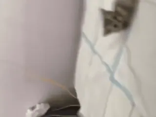 🏖 39c9babb telegram sticker