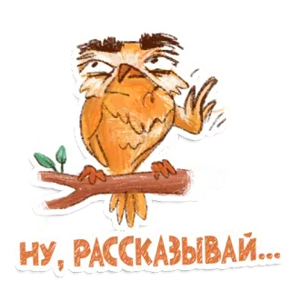 😒 c6faeccb ну, рассказывай... Eule, Vogel, Cartoon, Aufkleber, Tier, lustig telegram sticker