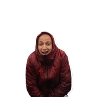 🐢 9fed840c telegram sticker