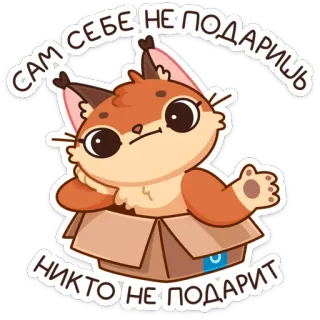 😒 8d7eaf36 Сам себе не подаришь никто не подарит Luchs, Katze, Kiste, süß, lustig, Tier, Meme telegram sticker