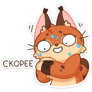 😓 a5599b07 СКОРЕЕ Katze, Aufkleber, süß, Tier, verängstigt, erschrocken telegram sticker