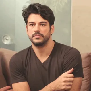 🍂 411f91f9 telegram sticker