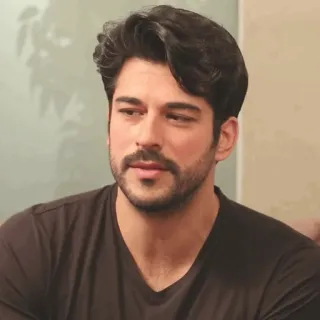 🍂 b7f65ef8 hombre, retrato, actor, Burak Özçivit, celebridad telegram sticker