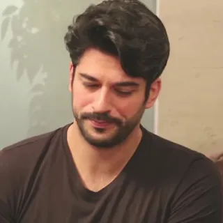 🍂 bd16b06f telegram sticker