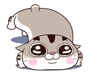 😊 507badf5 кот, милый, животное, каваий, питомец whatsapp sticker