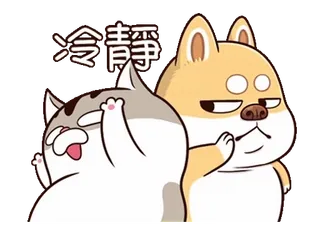 😊 5dc9b614 冷静 кот, собака, успокойся, животные whatsapp sticker