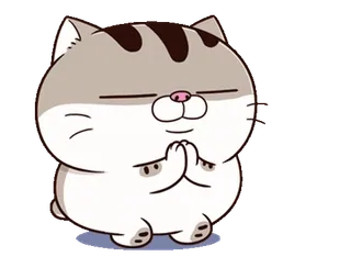 😊 9be87f07 кот, милый, животное, питомец, кавай, молящийся, просящий whatsapp sticker