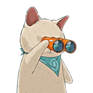 🦔 23847caa chat, jumelles, animal, regarder, animal de compagnie, observation whatsapp sticker