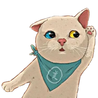 🦔 5d3cf927 chat, autocollant, animal de compagnie, animal, mignon, hétérochromie, bandana whatsapp sticker