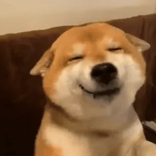 😁 f2b1a92f 개, 시바견, 동물, 귀여운, 웃는 telegram sticker