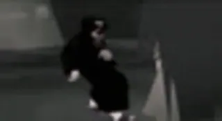 🤙 11cce9f0 telegram sticker