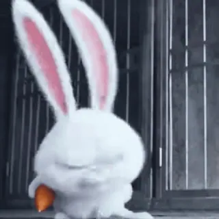 😒 184623df Snowball The Secret Life of Pets lapin, mignon, animal, dessin animé, blanc, carotte whatsapp sticker