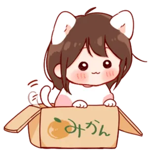 💞 77c0263a みかん anime, catgirl, mikan, orange, box, cartoon telegram sticker