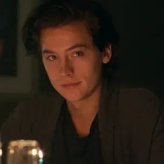 🙂 14c34231 Cole Sprouse attore, ritratto, uomo, capelli castani, celebrità telegram sticker