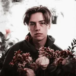 🙄 9b655d5c Cole Sprouse attore, fiori, ritratto, celebrità telegram sticker