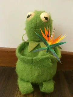 🐸•ᴋᴇʀᴍɪᴛ•🐸 @MeusPacks_s2 whatsapp stickers