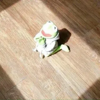 🐸 bb8bf680 Kermit เคอร์มิท, หุ่นกระบอก, กบ, มัพเพ็ตส์, ตุ๊กตา whatsapp sticker