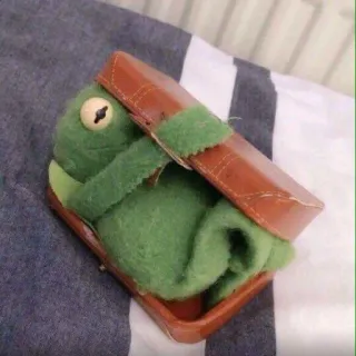 🐸 cf1d4659 Kermit the Frog เคอร์มิท, มัพเพ็ต, กบ, กระเป๋าเดินทาง, สีเขียว, การ์ตูน whatsapp sticker