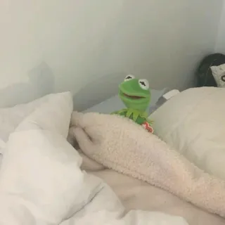 🐸 dc5205d0 Kermit เคอร์มิท เดอะ ฟรอก, มัพเพ็ต, กบ, หุ่นกระบอก, เตียง whatsapp sticker