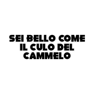 😀 26104a07 SEI BELLO COME IL CULO DEL CAMMELO Beleidigung, italienisch, lustig, Kamel, Hintern whatsapp sticker