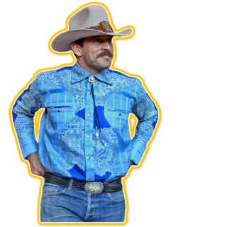 💋 c4b948f8 牛仔, 西部, 胡子, 帽子, 男人, 肖像 telegram sticker